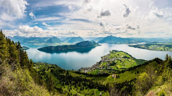 Panoramablick auf den Vierwaldstättersee mit Alpen und grünem Ufer bei klarem Wetter