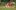 american-express-topstory-lehner-versand-4