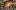 american-express-selects-neue-partner-co-chin-chin-2