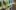 american-express-neue-partner-icrash-1