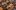 american-express-neue-partner-icrash-2
