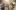 american-express-selects-neue-partner-moodi-shop-2