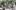 american-express-selects-restaurant-gasthof-zur-waag-2