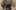 american-express-selects-shopping-christine-kaiser-1