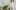 american-express-selects-shopping-say-flowers-2