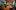 american-express-selects-dining-moments-carlton-1