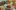 american-express-selects-gault-millau-dining-moments-dian-dian-mian-2