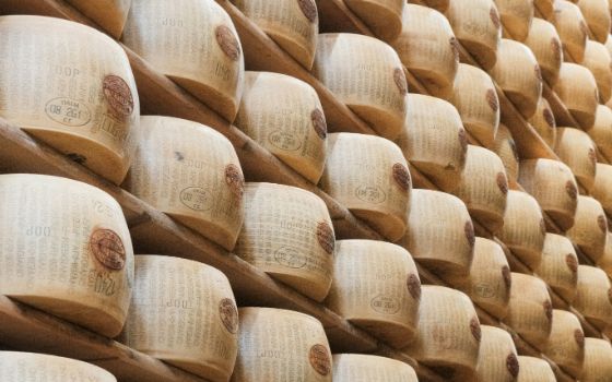 Laibkäse aus Parmigiano Reggiano lagert gestapelt in einem traditionellen Reifekeller