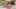 american-express-selects-shopping-roche-bobois-2024-1