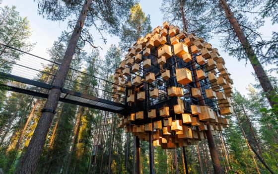 Extravagantes rundes Baumhaus mit vielen hölzernen Vogelhäusern und einer Verbindungsbrücke zwischen Waldbäumen. 