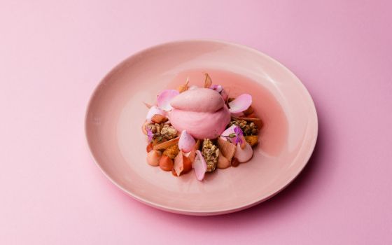Das Dessert Rhabarber mit Crème-fraîche-Mousse von Julien Duvernay auf einem eleganten Teller im Restaurant Stucki.
