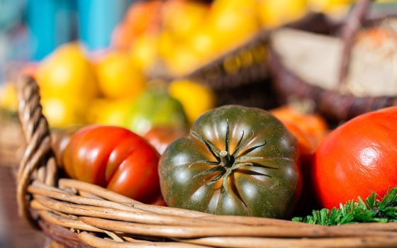 In einem Korb liegen eine grüne Tomate zwischen zwei roten Tomaten. 
