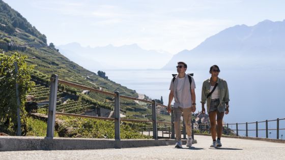 Eine Frau und ein Mann bei sonnigem Wetter auf einem gepflasterten Weg, der durch grüne Hügel mit Weinreben führt, im Hintergrund ein See und Berge im Dunst. 