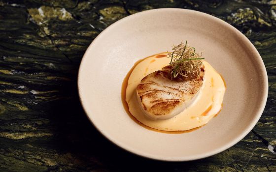 Ein elegant angerichteter “Bites” im Restaurant The Counter.