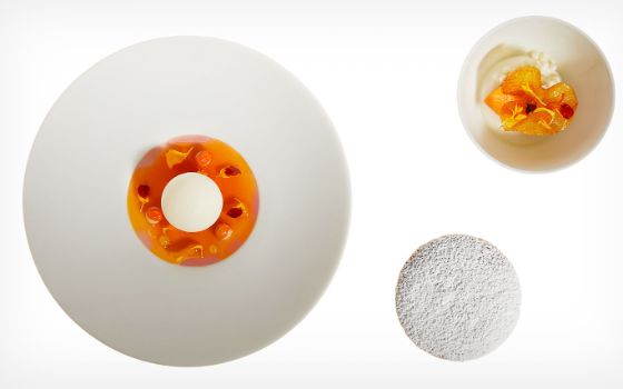 Zwei minimalistische, kunstvoll arrangierte Desserts in Orangetönen, serviert auf weissen Tellern in unterschiedlichen Grössen auf weissem Untergrund.