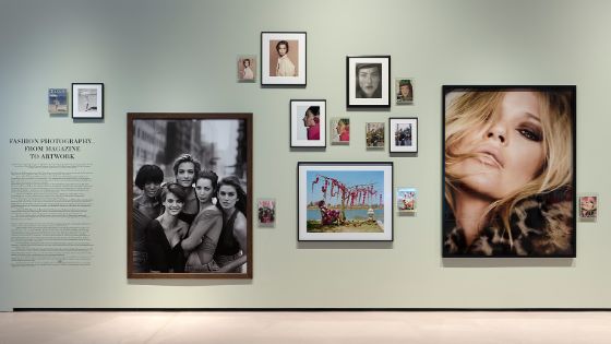 An einer hellgrünen Wand hängen verschiedene Fotografien, die Modeszenen und Porträts von Frauen zeigen. 