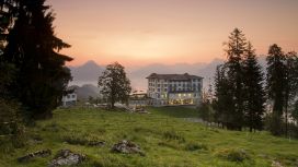 american-express-selects-hotel-villa-honegg-2025-1