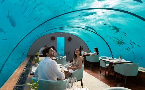 Ein Paar sitzt in einem Restaurant, das umgeben von Wasser ist, in dem Fische schwimmen.