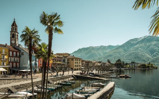 Bunte, kleine Häuser liegen an dem See Lago Maggiore, im Vordergrund stehen Palmen, im Hintergrund die Berge.