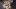 american-express-selects-gmpop-pizzeriaheuboden