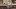american-express-selects-gmpop-lemondial