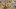 american-express-selects-american-express-dining-moments-stars-and-stripes-7