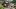 american-express-selects-summer-special-2025-the-capra-2