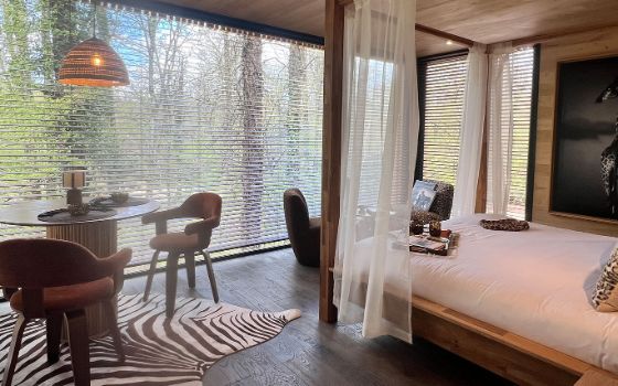 Innenansicht eines modernen Holzbungalows im Wald mit modernen Möbeln und Safari-Dekoration vor bodentiefen Panoramafenstern. 