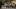 american-express-selects-restaurant-old-swiss-house-2-e-nl-2026