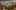 americanexpress-magazin-places-hotel-aman-gardenview-stagestatic
