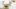 american-express-selects-neuste-partner-restaurant-roessli-stalden-1-e-nl-2026