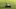 american-express-shop-small-par-golf-leissingen-1