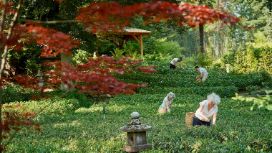 american-express-selects-neuste-partner-casa-del-te-2