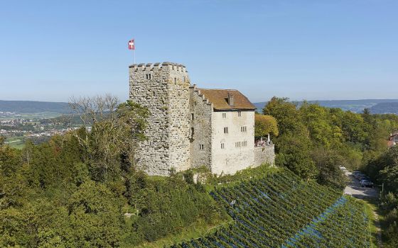 Mittelalterliche Burganlage mit Schweizer Flagge, umgeben von Waldfläche mit Weinberg. 
