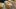 american-express-selects-shop-small-michelles-cupcake