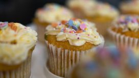 american-express-selects-shop-small-michelles-cupcake