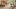 american-express-selects-hotels-gasthof-muehle-2