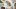 american-express-selects-la-fourchette