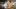 american-express-magazine-chefportraits-stagestatic