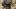 american-express-selects-shopping-christine-kaiser-1