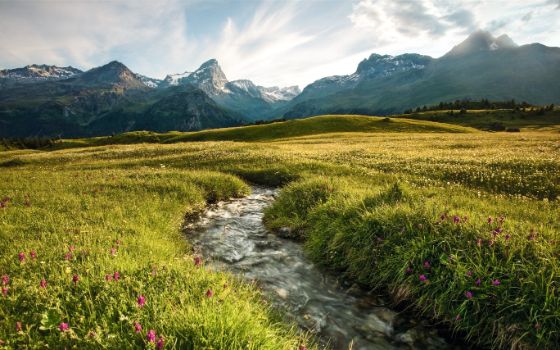 Alpenwiese mit Bergbach im Schweizer Nationalpark