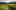 Alpenwiese mit Bergbach im Schweizer Nationalpark