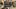 american-express-selects-gmpop-shilla