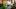 american-express-selects-shop-small-royal-bloom