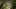 american-express-selects-hotel-cervo-mountain-resort-1-2025