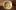 american_express_neue_partner_pur_hurden-2