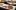 american-express-selects- dining-48-grad-2