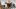 americanexpress-pay-with-points-stage-static