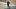 american-express-selects-shopping-victorinox-2