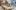 american-express-selects-neue-partner-kalea-fashion-2